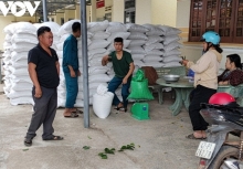 Hỗ trợ hơn 12.000 tấn gạo cho người dân ăn Tết Nguyên đán Quý Mão