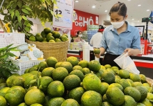 Giá thực phẩm hôm nay 25/12: Nhiều loại trái cây giảm trước Tết Dương lịch
