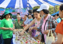 TP.HCM: Phường Dĩ An đổi rác nguy hại lấy quà, người dân hưởng ứng phân loại rác tại nguồn