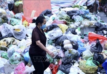 Cần ngăn chặn ngay sự gia tăng trở lại của rác thải nhựa