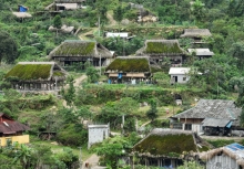 Những mái nhà cọ phủ đầy rêu của người Dao ở Xà Phìn (Vị Xuyên, Hà Giang)