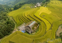 Ngắm mùa vàng ở Xà Phìn (Vị Xuyên, Hà Giang)