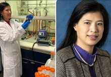 GS Nguyễn Thị Kim Thanh: Nhà khoa học gốc Việt mở hướng ứng dụng hạt nano trong điều trị ung thư
