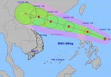 Bão Matmo di chuyển vào Biển Đông, trở thành bão số 11 dự báo mạnh lên cấp 12, giật cấp 15