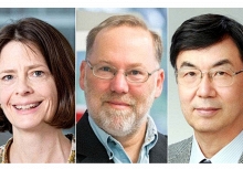 Nữ tiến sĩ đoạt giải Nobel Y sinh 2025: Phát hiện gen FOXP3 mở ra hy vọng thoát bệnh tự miễn cho hàng triệu phụ nữ