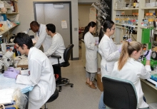 Nữ tiến sĩ Việt lọt top 30 nhà khoa học trẻ hàng đầu nước Mỹ ngành khoa học về thần kinh
