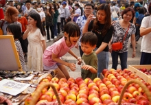 Lễ hội ẩm thực Pháp sắp quay trở lại, hứa hẹn trở thành điểm vui chơi cuối tuần không thể bỏ qua cho cả gia đình