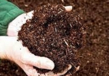  Nghiên cứu đột phá về chế phẩm vi sinh vật phân hủy phốt pho hữu cơ: Hướng đi mới cho nông nghiệp bền vững
