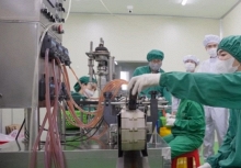 Nano Dihydroquercetin - Giải pháp khoa học hỗ trợ điều trị rối loạn lipid máu, bảo vệ tim mạch và não bộ