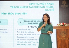 Hướng đi nào cho doanh nghiệp Việt trong kỷ nguyên xanh?