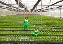 WinEco 10 năm kiên định với mô hình tiên phong nông nghiệp công nghệ cao