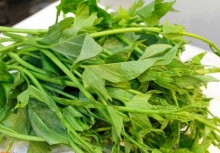 5 loại rau 'ít thuốc, siêu lành': Giá rẻ nhất chợ Việt, không mua quá phí