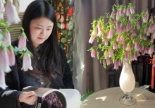 Tím lịm những chiếc “chuông gió” bé xíu: Loài hoa nhìn là muốn bưng cả bình về nhà chơi Tết