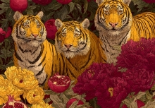 3 con giáp hưởng trọn vận may năm 2026: Sự nghiệp lên hương, làm nhàn hơn mà vẫn có tiền