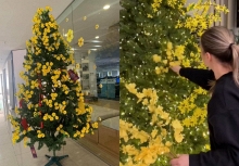 Tha cho cây thông Noel đi, Tết còn tận 3 tháng nữa mới đến