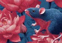 Chim hỉ thước báo tin vui: Từ đầu tuần đã thấy hên, 3 con giáp này làm gì cũng thuận, tình tiền đều lên hương