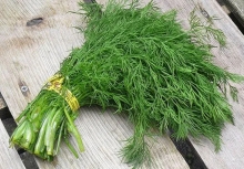 Rau thì là: Thứ rau rẻ tiền nhưng được ví như “vị thuốc xanh” cho cơ thể - nhưng không phải ai cũng ăn được