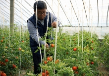 Phát hiện 1 nhân viên ngân hàng bỏ việc lương cao về quê trồng rau, chỉ 1 năm đã thành triệu phú