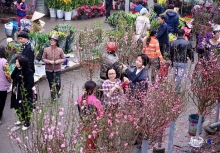 Lịch nghỉ Tết âm lịch Bính Ngọ 2026