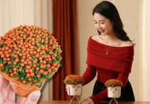 'Bảo bối' phong thủy mới cho Tết Bính Ngọ 2026: Tên nghe sang chảnh, bé xíu xiu mà hút lộc cả năm