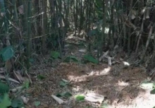 Đang đào giun thấy xẻng chạm phải vật cứng, lão nông dân run rẩy phát hiện kho báu nặng 30kg ngàn năm tuổi còn nguyên vẹn