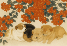 Báo động đỏ tuần mới: 3 con giáp cẩn thận 'vạ miệng gây họa', tiền bạc dễ mất, có 1 con giáp nên ở yên trong nhà!