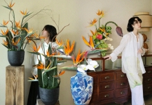 Hoa thiên điểu “đổ bộ” phòng khách ngày Tết: Nhìn là thấy giàu, cắm một lần là nghiện