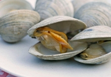 4 thực phẩm dễ tích tụ cả 'mỏ kim loại nặng', độc tính mạnh gấp nhiều lần thủy ngân