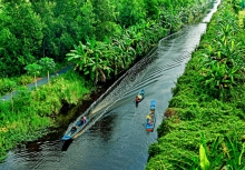 Du xuân nơi cực nam Tổ quốc
