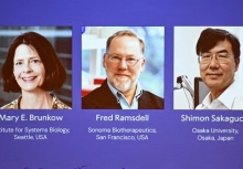 Giải Nobel Y sinh 2025 tôn vinh nghiên cứu khám phá cơ chế kiểm soát miễn dịch của con người