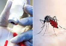Thế giới có vaccine đơn liều đầu tiên phòng sốt xuất huyết