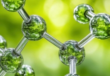 Hợp chất nấm chống ung thư được tổng hợp thành công sau 55 năm