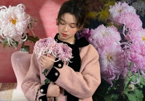 Mê mẩn loài cúc lạ 'Sư Tử Phấn Bạch': Nhìn tưởng lông vũ, sờ mịn như tơ, bí kíp chăm trong chung cư kín gió vẫn nở bung rực rỡ