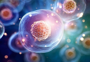 “Sạc lại” tế bào già yếu, hướng đi mới trong điều trị bệnh lão hóa