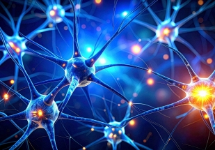 Các nhà khoa học lần đầu tìm ra cách nghe được “ngôn ngữ” bí ẩn của não bộ