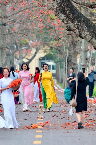 Mùa hoa gạo rực đỏ, làng Đoan Nữ hút khách tìm về ký ức thôn quê