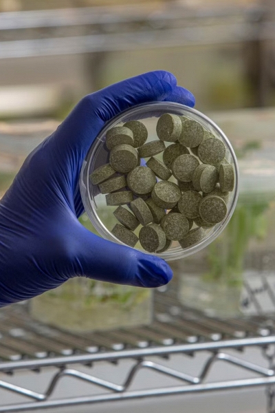 Kẹo cao su sinh học giúp giảm tới 93% virus HPV trong nước bọt, mở hướng hỗ trợ điều trị ung thư