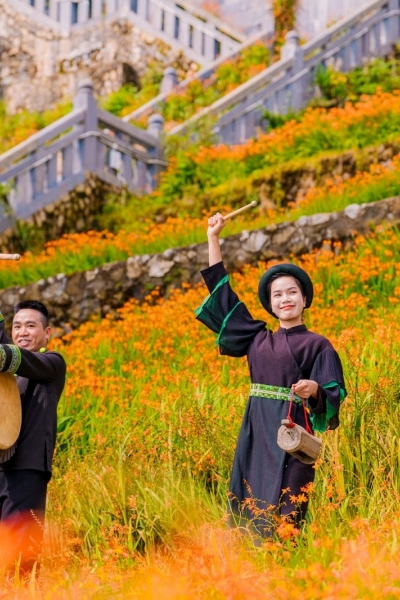 Sa Pa: Biển hoa dơn thóc khoe sắc trên đỉnh Fansipan 