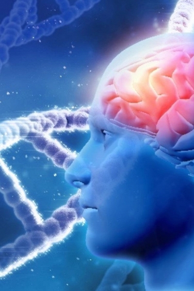 Nghiên cứu mới giải mã một phần cơ chế phát triển đặc biệt của não người