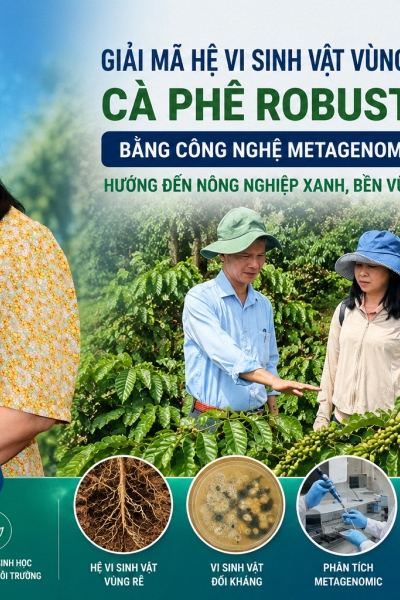 Giải mã “hệ vi sinh vật vùng rễ” cà phê bằng công nghệ Ý: Mở hướng đi mới cho nông nghiệp xanh ở Tây Nguyên