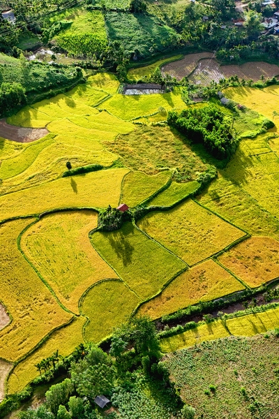    Di sản ruộng bậc thang độc đáo giữa vùng cao xã Ba Vì 