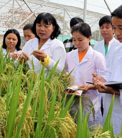  GS.TS Nguyễn Thị Lang: “Nông nghiệp không chỉ cần năng suất, mà cần giá trị cho người nông dân'