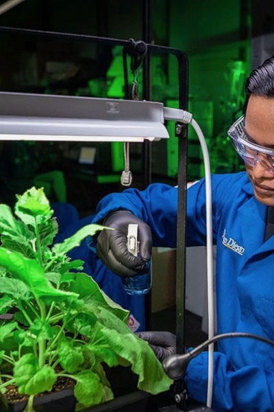 “Áo giáp” dạng xịt cho cây trồng, giải pháp tăng cường an ninh lương thực toàn cầu