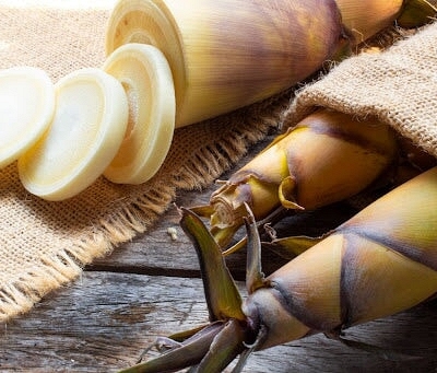 Các nhà khoa học hé lộ những giá trị dinh dưỡng bất ngờ từ măng tre