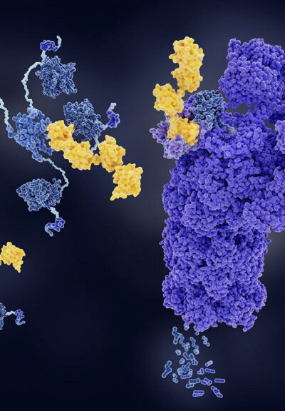 Các nhà khoa học lần đầu tìm ra cách loại bỏ protein gây bệnh ngay trong cơ thể