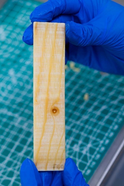 Vật liệu gỗ thông minh giúp nhà mát mùa hè, ấm mùa đông mà không tốn điện