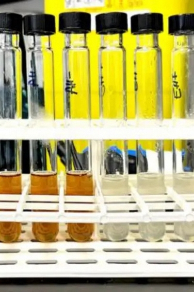 Công nghệ dùng bánh mì thừa làm nguyên liệu trong sản xuất hóa chất