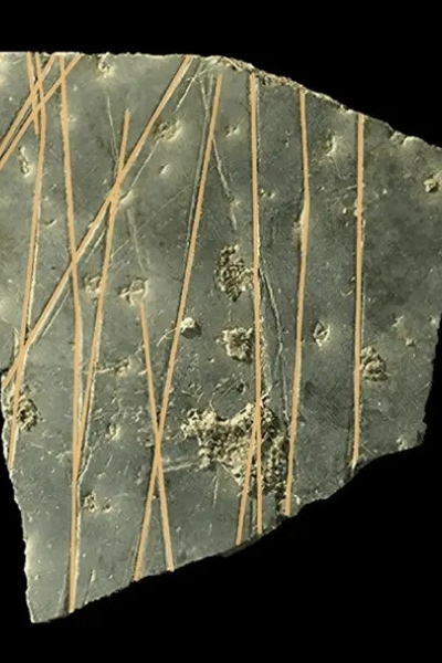 Vết khắc trên trứng đà điểu 60.000 năm tuổi hé lộ tư duy “ngữ pháp hình học” cổ nhất của loài người