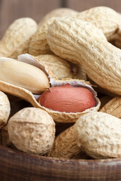 Các nhà khoa học tìm ra hướng ứng dụng thực tiễn tuyệt vời cho vỏ lạc