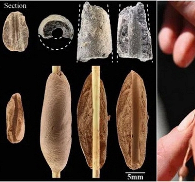 Kho báu trang sức tiền sử 12.000 năm hé lộ câu chuyện về sự kết nối của loài người